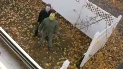 MoaiGreddit - Video #6576