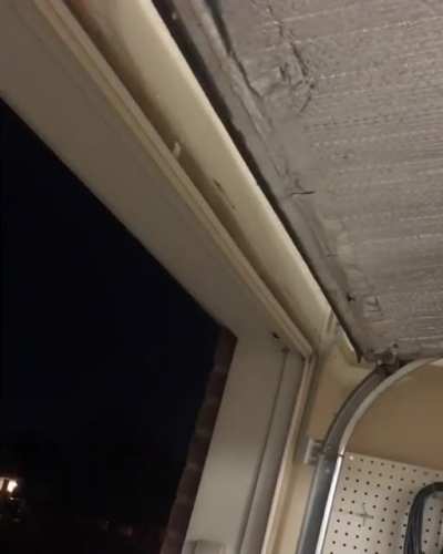 My brother attempting to remove a wasp nest while I film…