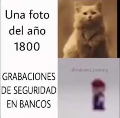 XDDDD