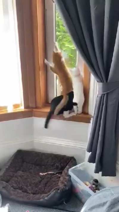 Муха