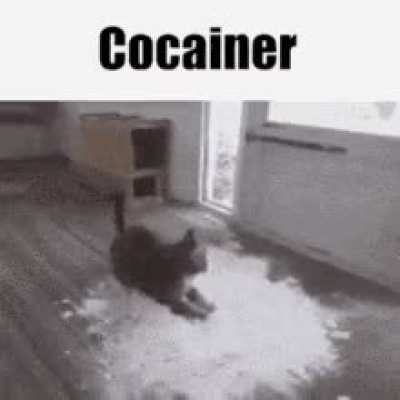 addiction rule