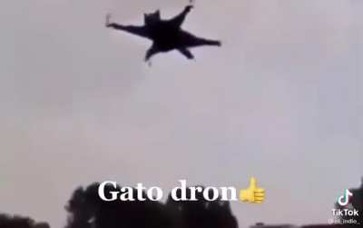 Xd