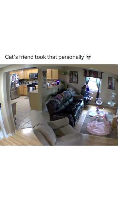 Be gone cat!