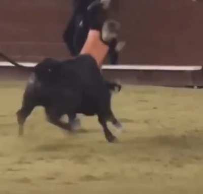 A Classic Cartoon Bullfight