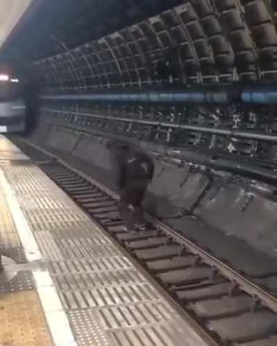 Sick backflip bro