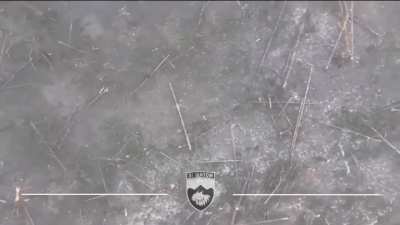 Russian soldier fleeing from drone decides to commit suicide with hand grenade