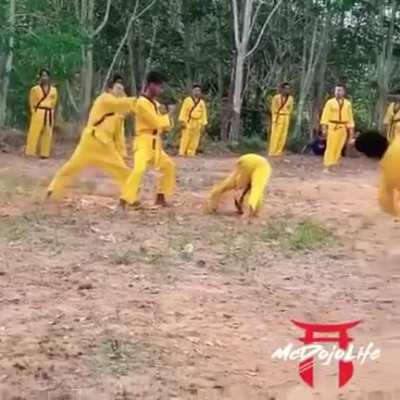 Yellow bamboo?