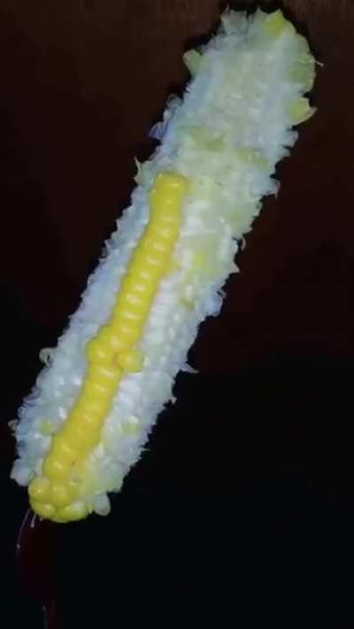 Corn