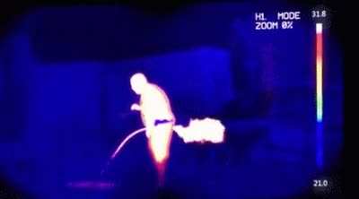 caught on camera
