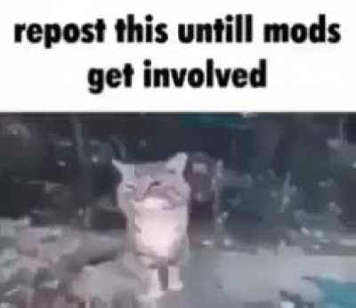 doodoofardians we must repost
