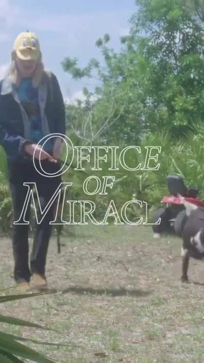 Weiland will be appearing on Edward Skeletrix’s docuseries “Office Of Miracle” Episode 2