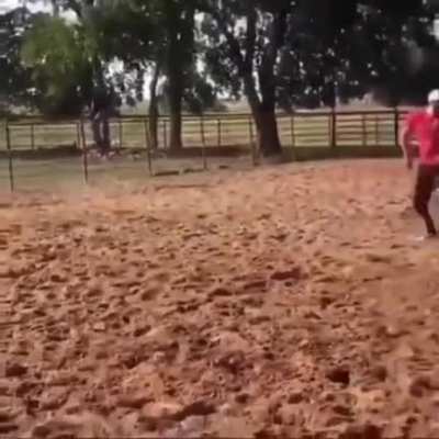 Dodging animals.