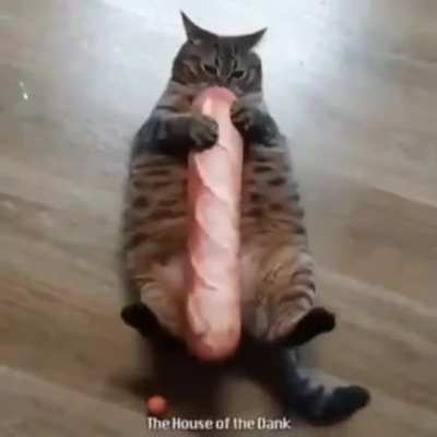 🥖