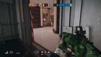 Should I go pro??