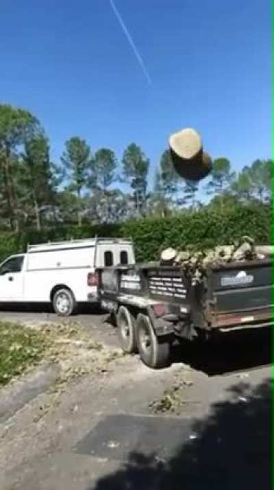 Dead Log.