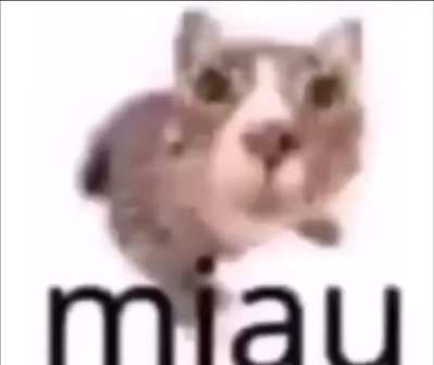 MIAU