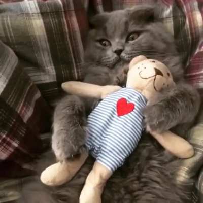 touch tha hand