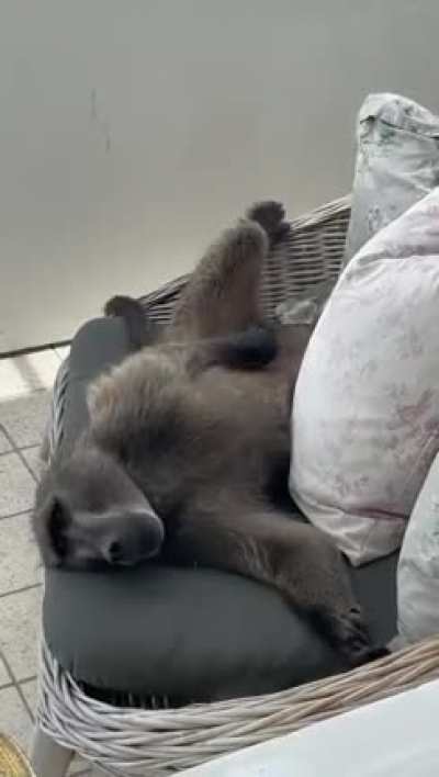 Monke