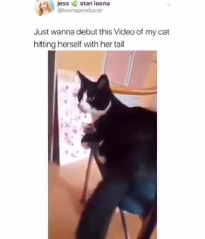 It hurt himself in confusion