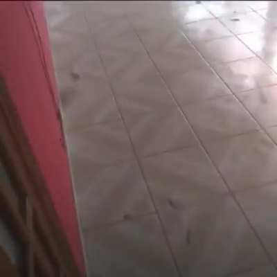 Running from the chick.