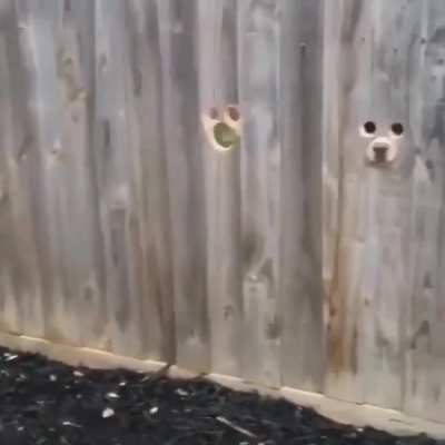 Maybe maybe maybe