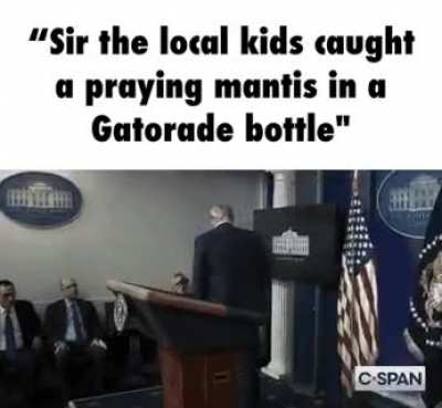 let me see