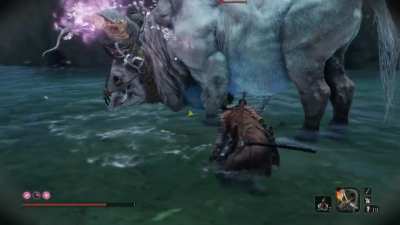This is my first time playing Sekiro and I think I’ve finally mastered the art of Ninja Stealth. 