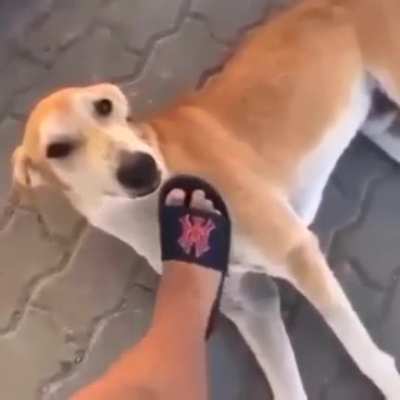 eu juro não da susto