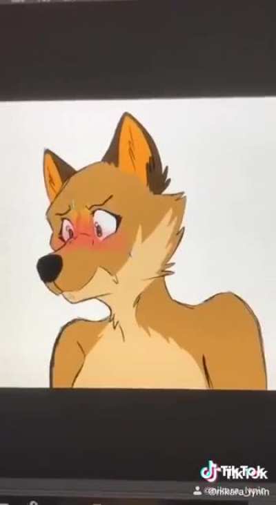 Cute_irl