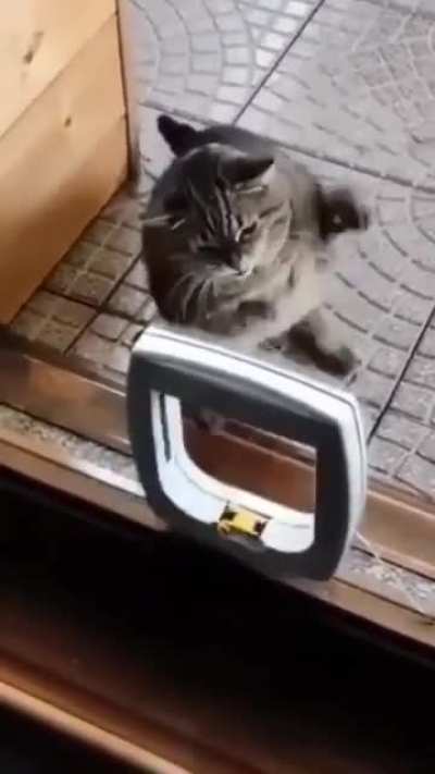 Floyd Meoweather