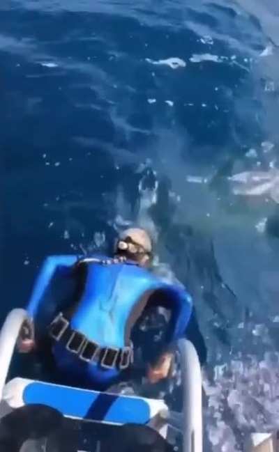 Lets go for a dive