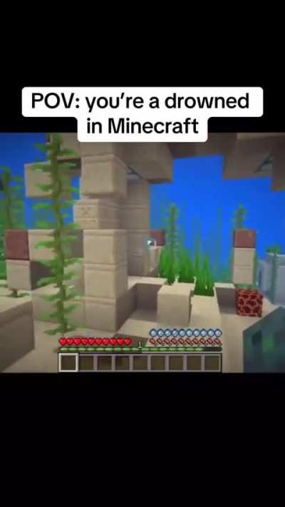POV: you're a skeleton in Minecraft