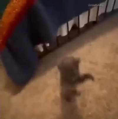 TW: scarey 😨