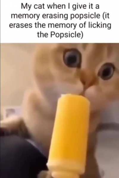 yummy yummy
