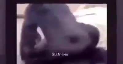 #61/ 😳😳😳
