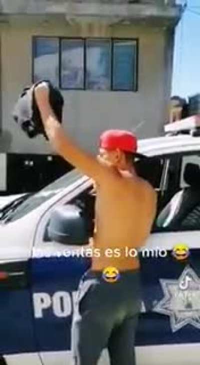 Papaia