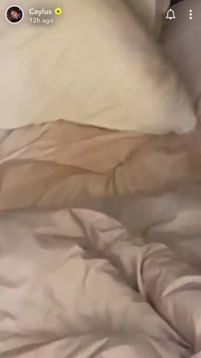 Jiggle