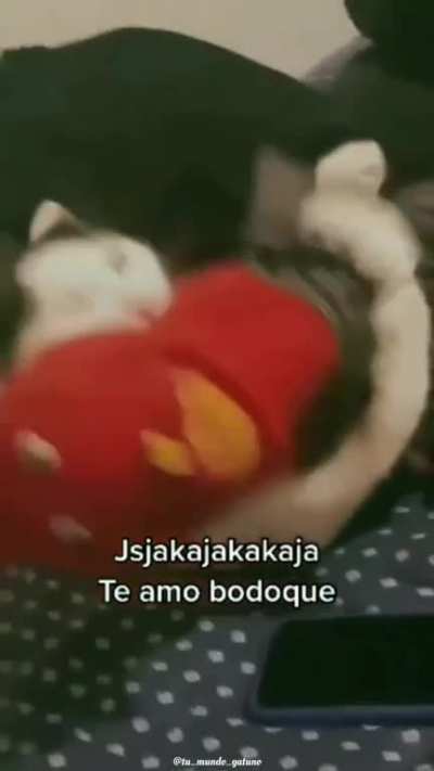 Aiuda Tulio