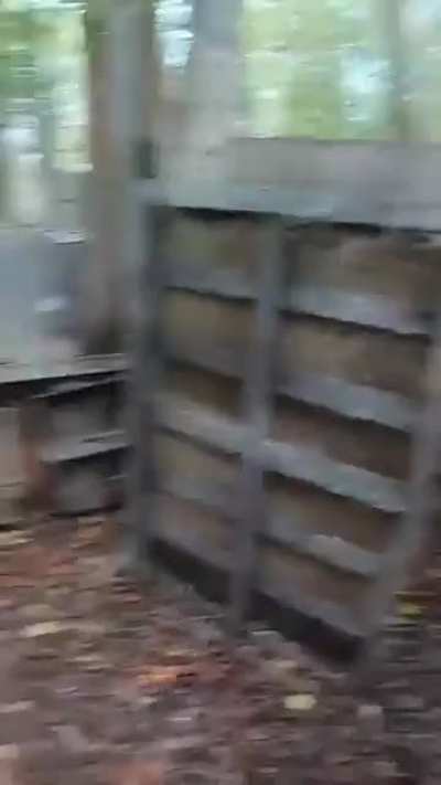AAAAAaaaa