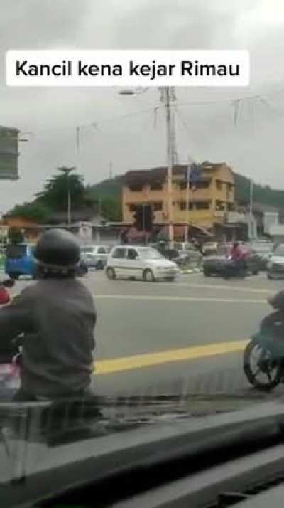 Apa yg dia nk buat sebenarnya ni..