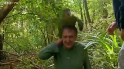 Shagged by a rare parrot