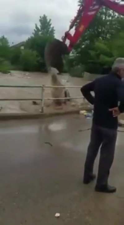 Cleaning the river