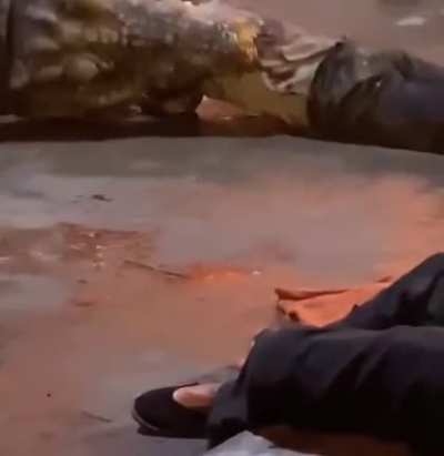 Man in danger?
