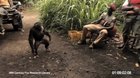 Don't mess with the Monkey