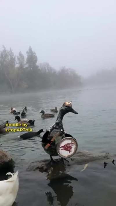 Birb