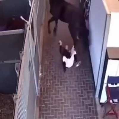 Jealous 🐴