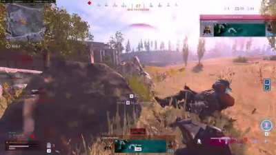 Camouflage: 100