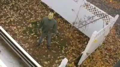 Como eu stalkiar uma pessoa