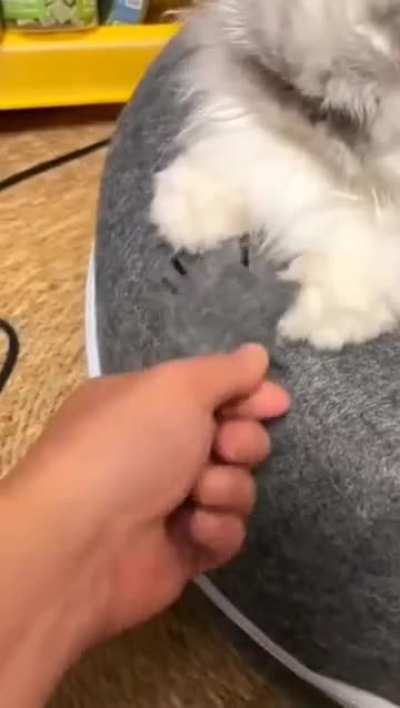 She got betrayed