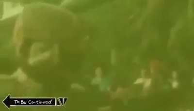 Oh shit. Oh shit